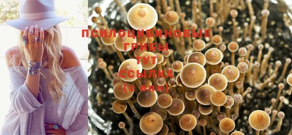 каннабис Алзамай