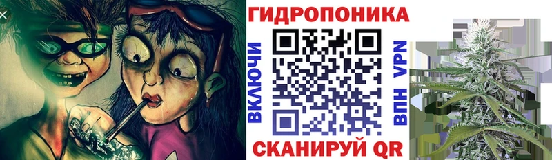 Шишки марихуана планчик  цена   KRAKEN зеркало  Домодедово 